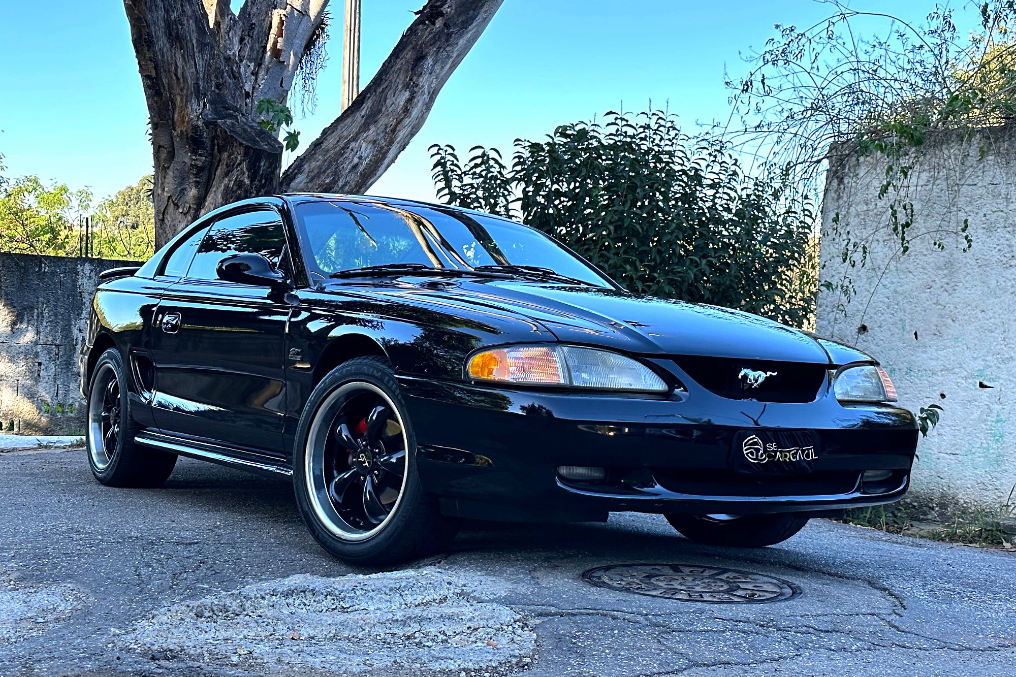 Ford Mustang GT 5.0